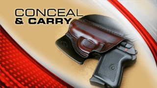 Pioletti & Pioletti Concealed Carry Illinois