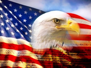 freedom3_e2446c4b34a31d1e00764e60998bf324