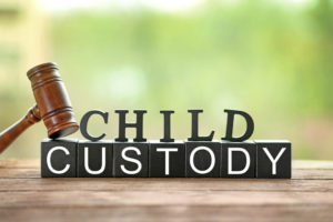 Child Custody Lawyer Bloomington IL