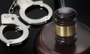 Criminal Defense Lawyer