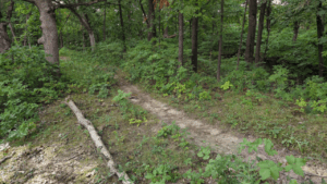 Robinson Park Peoria, IL