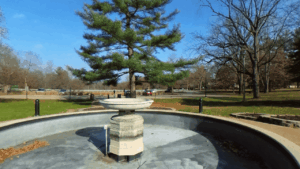 Washington Park Springfield, IL