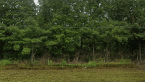 Wildlife Prairie Park Peoria, IL