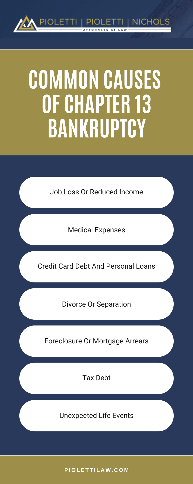 Common Causes Of Chapter 13 Bankruptcy Infographic